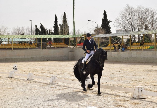 اولین رویداد درساژ اسب های فریزین در کشور