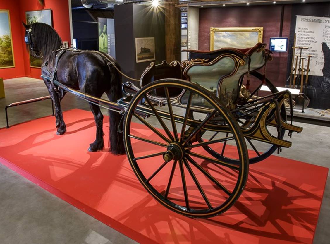 موزه اسب های فریزین در هلند راه اندازی میشود