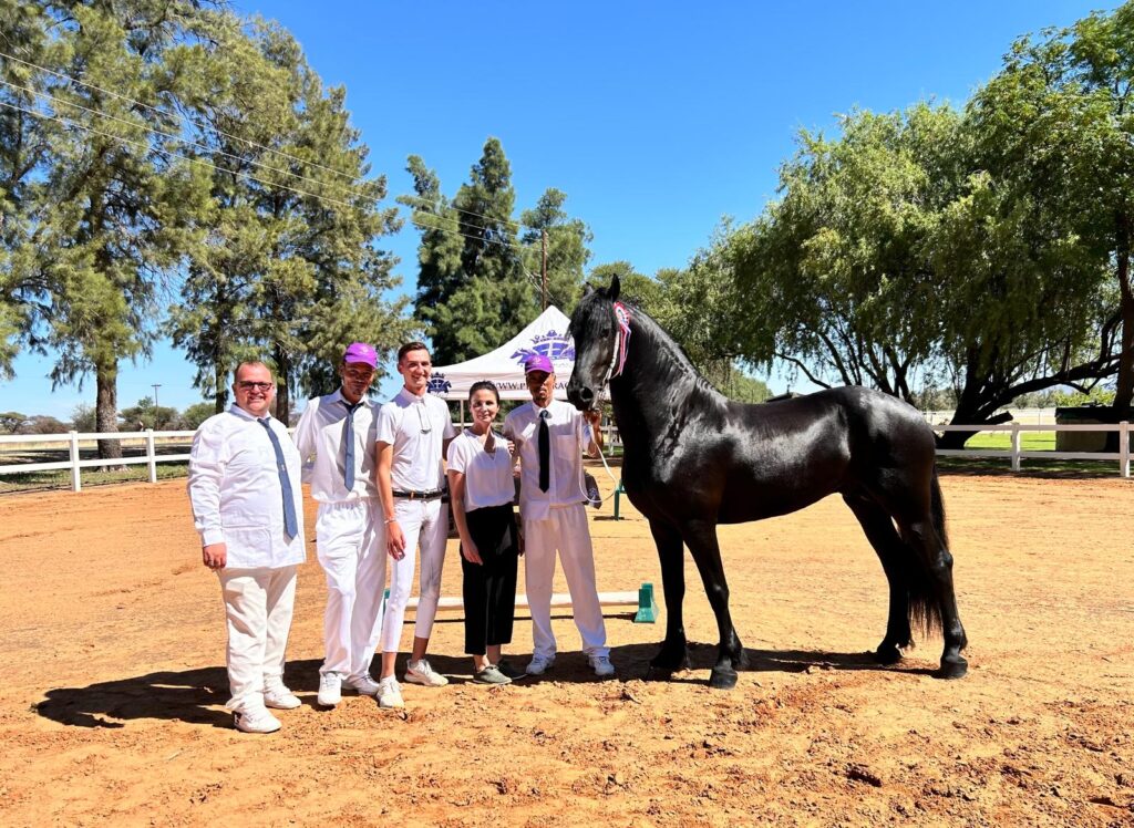روز دوم از ارزیابی اسب های فریزین در کشور آفریقای جنوبی در سال 2024