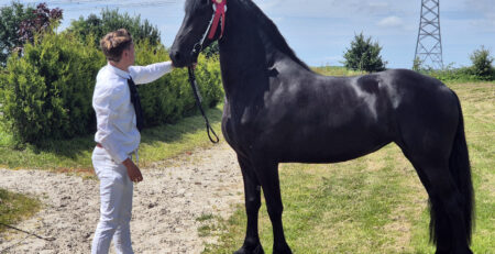کسب مقام استار توسط یک مادیان 3 ساله از مادیان های مرکز پرورش اسب پارت در مسابقات ارزیابی ردر کشور هلند
