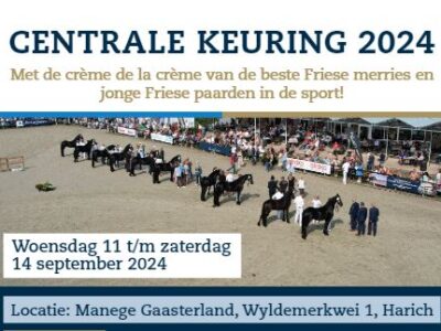 Central Keuring Friesian Horses 2024